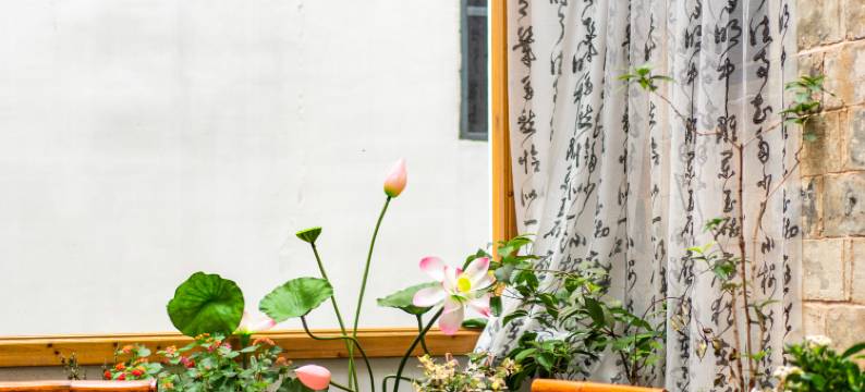 宏村问空山·香药庭院民宿图片