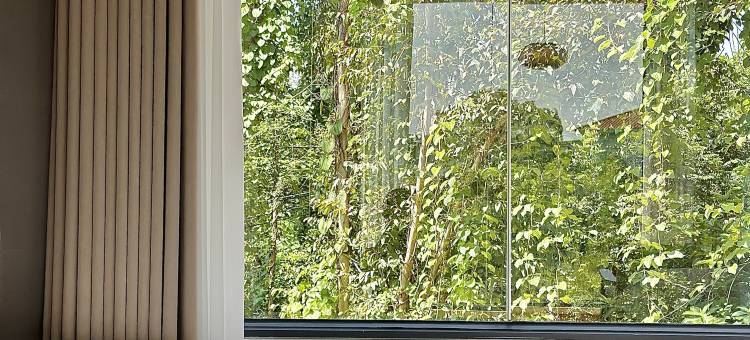 罗浮山刘家庄民宿图片