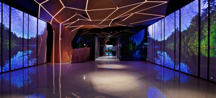 台北阿树国际旅店图片