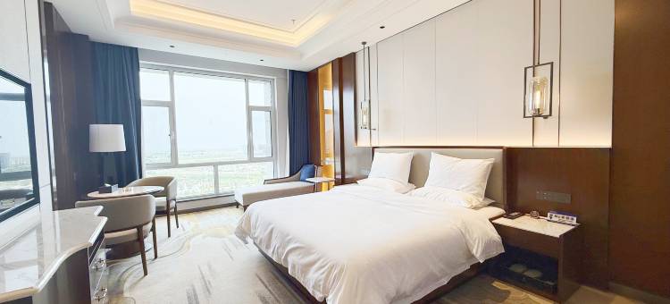 金天马国际酒店图片