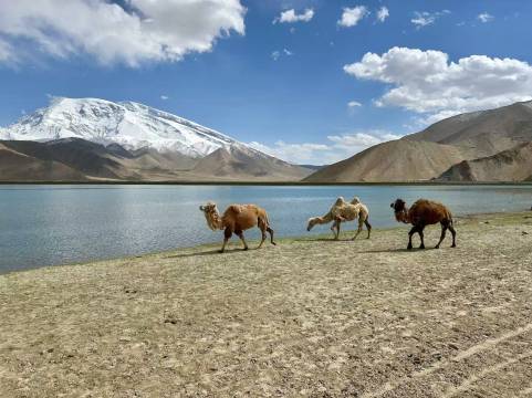 喀拉库勒湖不周山营地图片