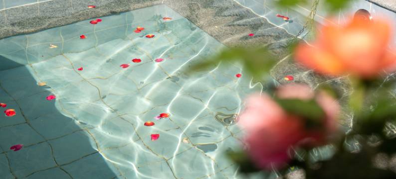 青澜・山涧温泉私汤度假小院(太白山国家森林公园店)图片