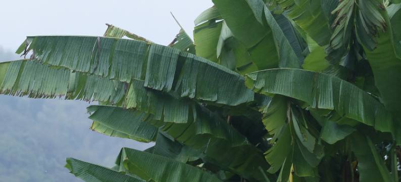 绍兴墨隐居·花墅图片