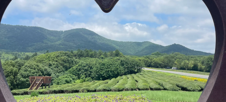 三只猫青年旅社(溧阳腾宇人才公寓店)图片