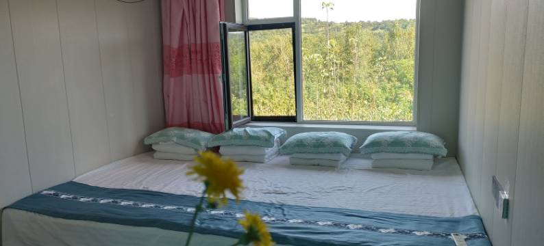 志阳农家院图片