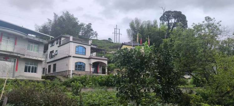 三清山琴山民宿图片