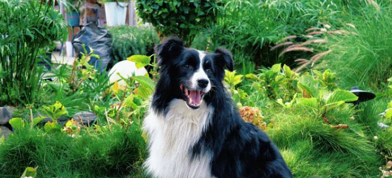 一揽芳华海景花园民宿(大理才村码头店)图片