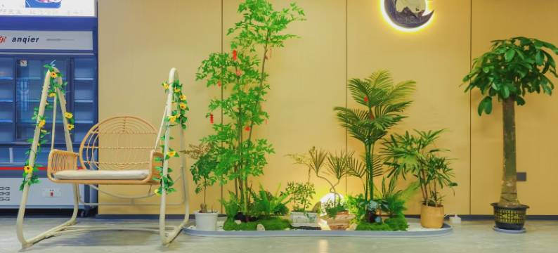 如苑民宿(桃花潭景区店)图片