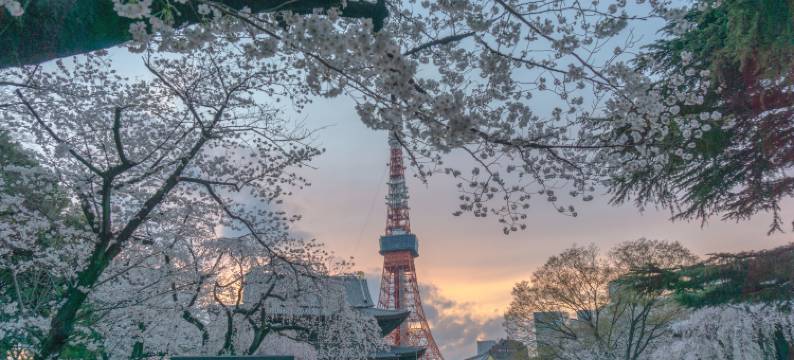 东京威斯汀酒店(The Westin Tokyo)图片