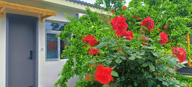 翠柳客舍(黄家湾景区湖北文理学院理工学院店)图片