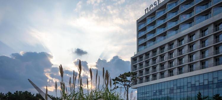 仁川鸟巢酒店(Nest Hotel, a Member of Design Hotels)图片