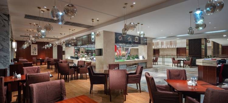 濮阳阿尔卡迪亚酒店(西湖公园店)图片