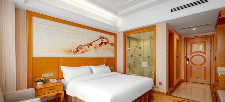 维也那国际酒店(邳州青年东路店)图片