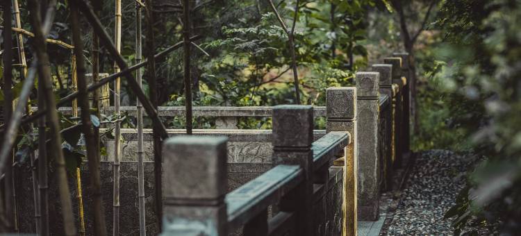 常州野松岭民宿图片