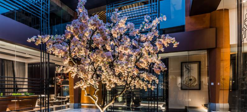 上海祥瀛度假别墅(东平国家森林公园店)图片