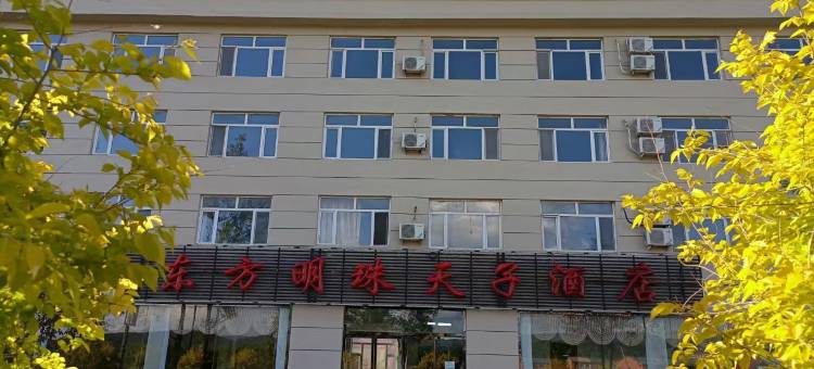 通化东方明珠天子酒店图片