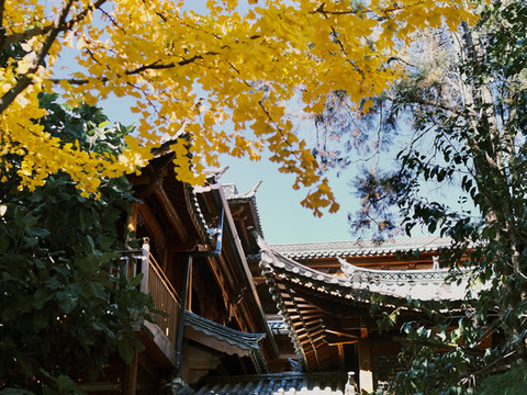 GRAND JOLI大美华宿·翠园(丽江古城大水车店)