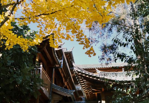 翠园Emerald Garden｜Black Dragon Pond Park Boutique Hotel·大美华宿（黑龙潭公园店）外景图