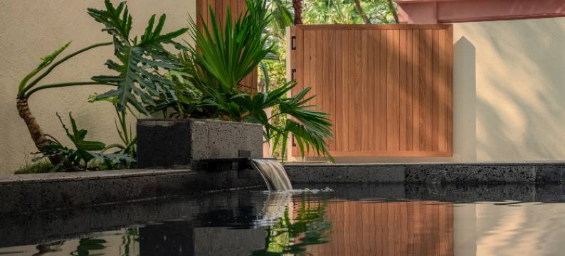 安莱雨林野奢酒店图片