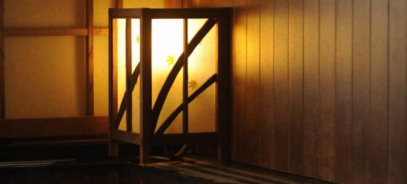 北海道苫小牧多美迎天然温泉酒店(多美迎・御宿野乃 酒店集团)(Dormy Inn Tomakomai Natural Hot Spring)图片