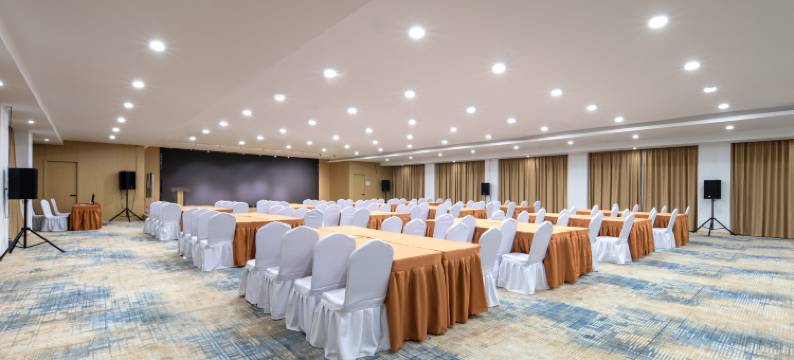 璞爵国际酒店(上海松江新桥店)图片