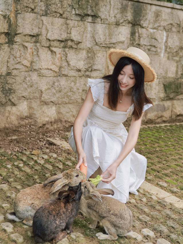 惠州白鹭湖雅居乐喜来登度假酒店图片