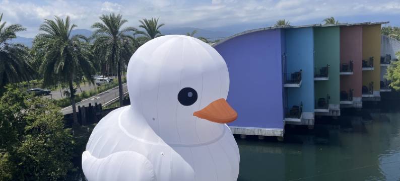 水岸森林休闲农场图片
