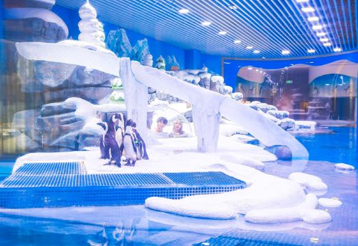 上海金桥海昌企鹅度假酒店外景图