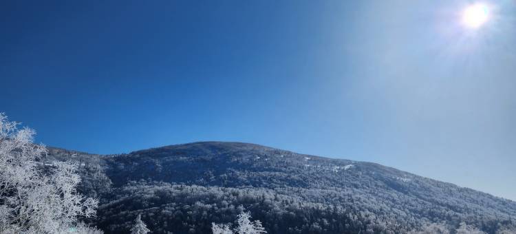 雪谷楠楠民宿图片