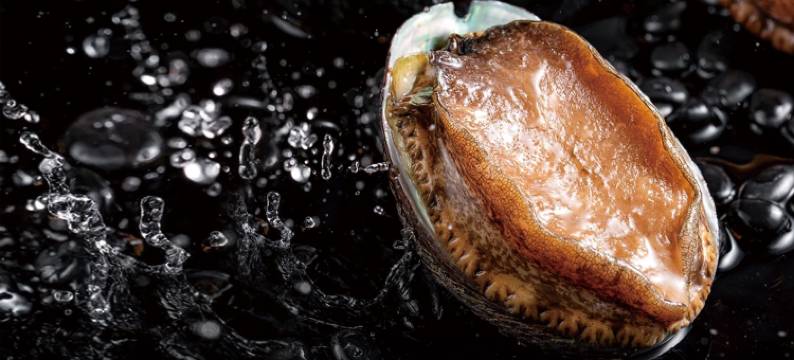 汤连得’多喜温泉酒店图片