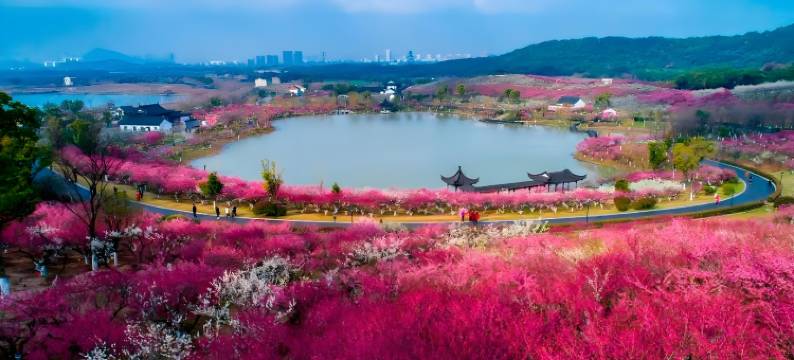 如家睿柏·云酒店(张家港金港中央广场店)图片