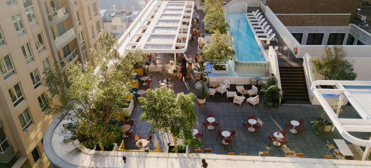 悉尼金普顿玛格特酒店(Kimpton Margot Sydney)图片