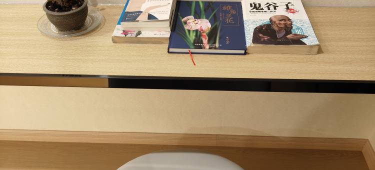 维西德鲁克国际大酒店图片