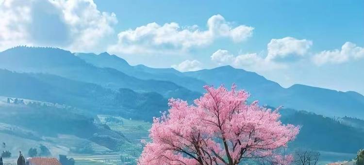 婺源鹿鸣山居民宿(篁岭景区店)图片