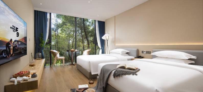 天府逸云大酒店(成都天府国际机场店)图片