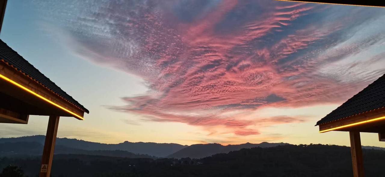 澜沧茶怡园·茶满山庭民宿图片