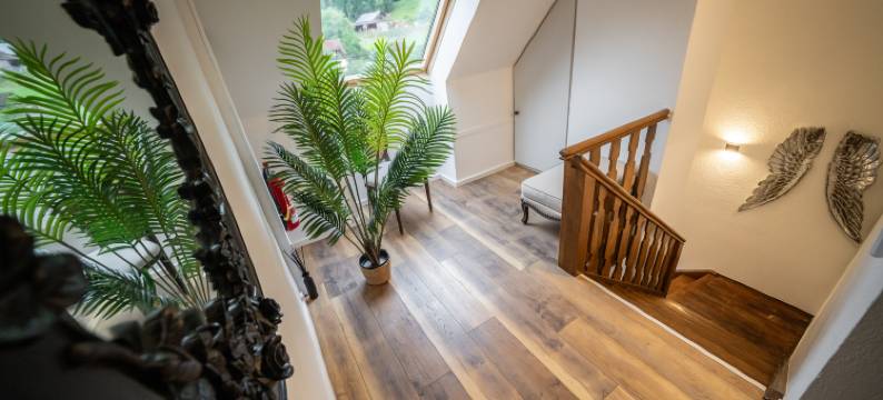 Engel 16 - 限成人(Engel 16)图片