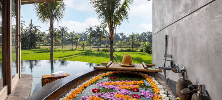 thewakanda A Pramana Experience图片