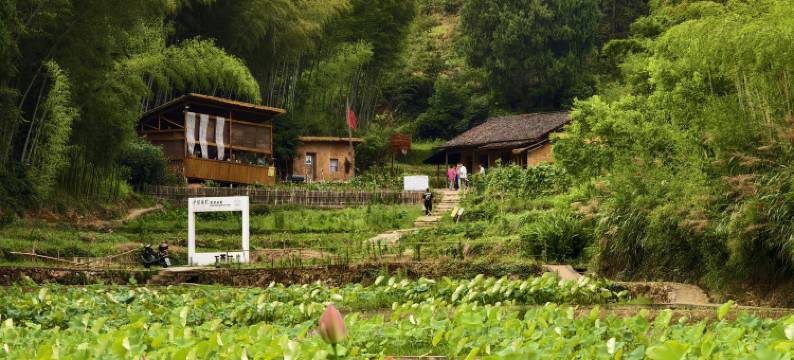 淳安梦逸的院子精品民宿图片