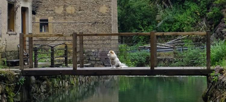 踏雪九里乡村度假民宿图片