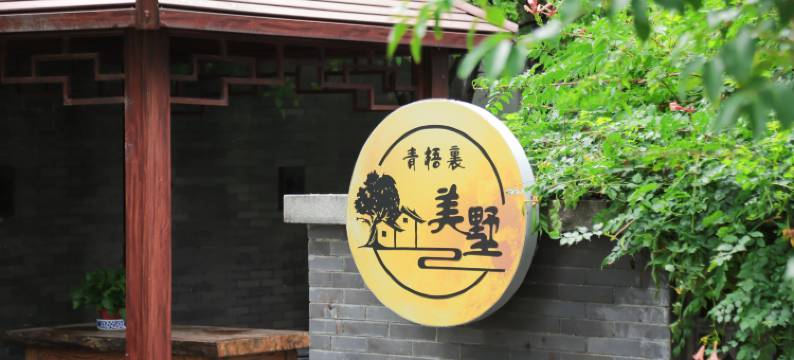 青梧里·美墅(清明上河园万岁山武侠城南门店)图片