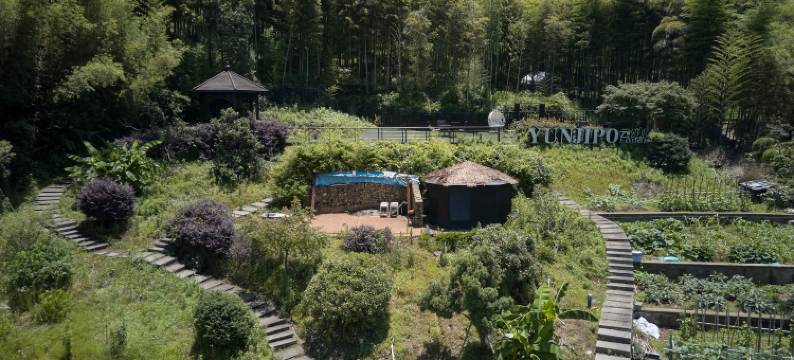 花筑悦·莫干山云迹坡温泉美墅(后坞换乘中心店)图片