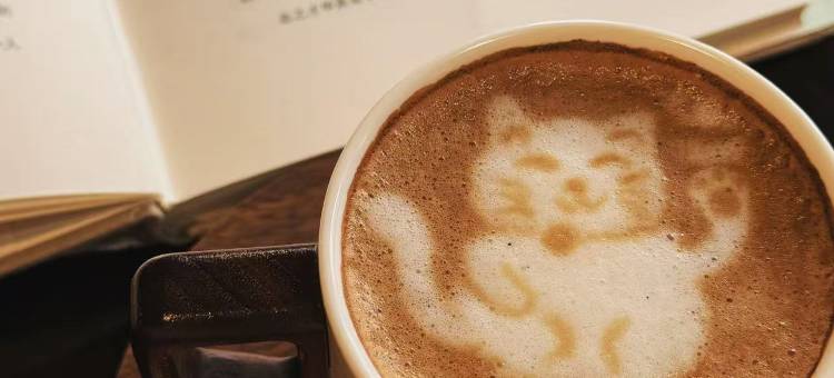 巍山喜舍精品客栈(巍山古城星拱楼店)图片