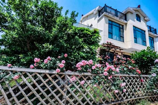 无锡山舍民宿(灵山大佛拈花湾店)