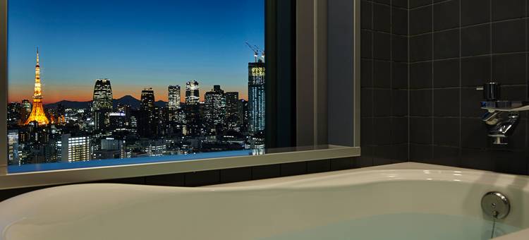 三井花园酒店银座普米尔(Mitsui Garden Hotel Ginza Premier)图片