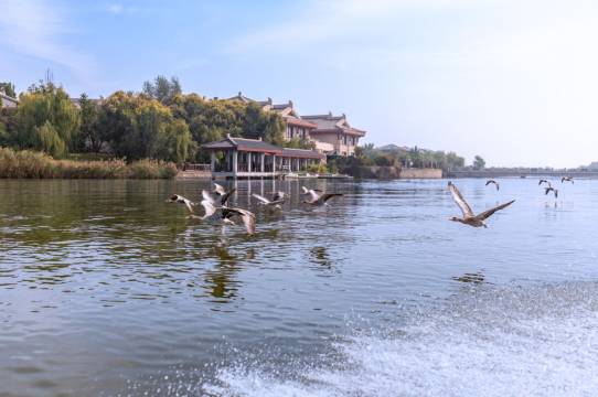 天津光合谷温泉度假酒店图片