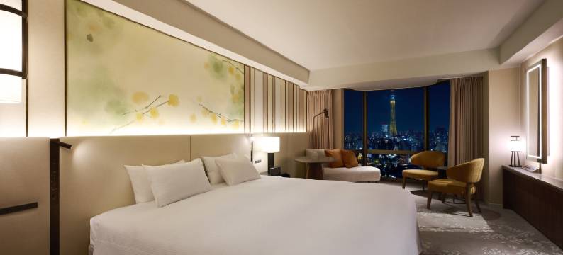 东京浅草豪景酒店(Asakusa View Hotel)图片