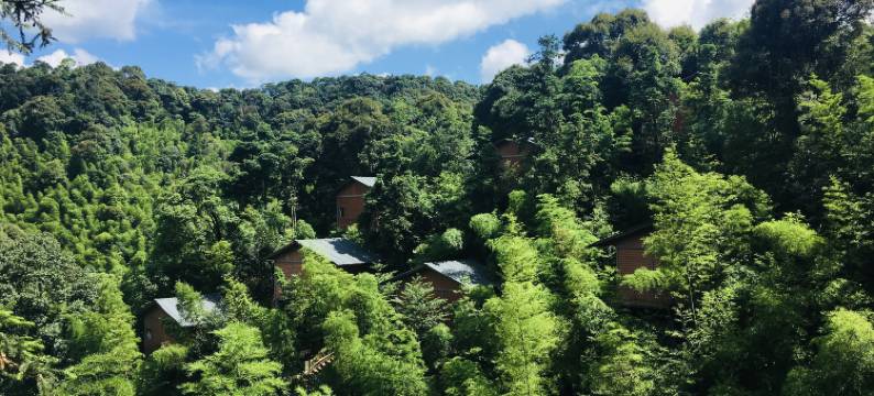 龙门南昆山星河谷生态度假村图片