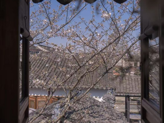 朱家角井亭民宿