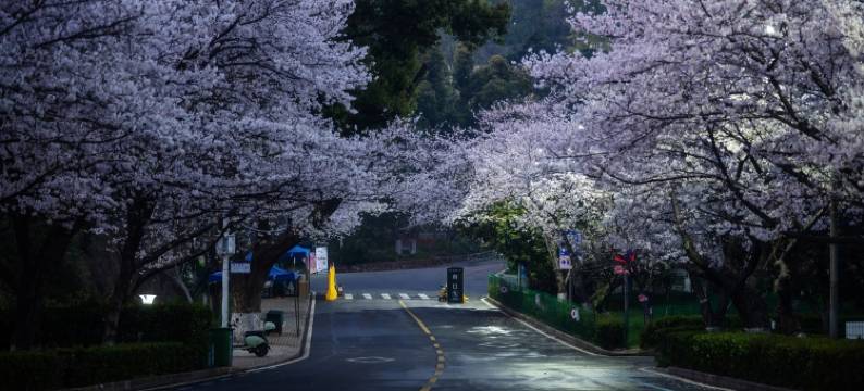 武汉富力威斯汀酒店图片